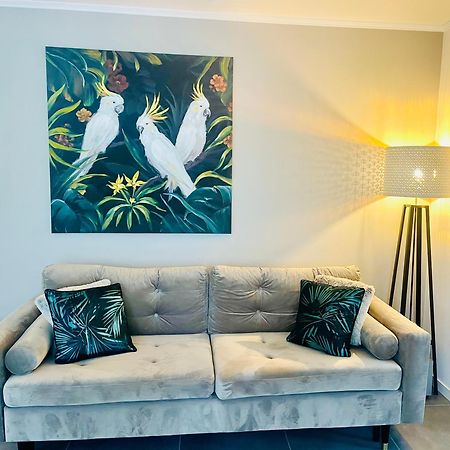 Appartement De Standing Proche Centre Ville Et Gare Mulhouse Eksteriør billede